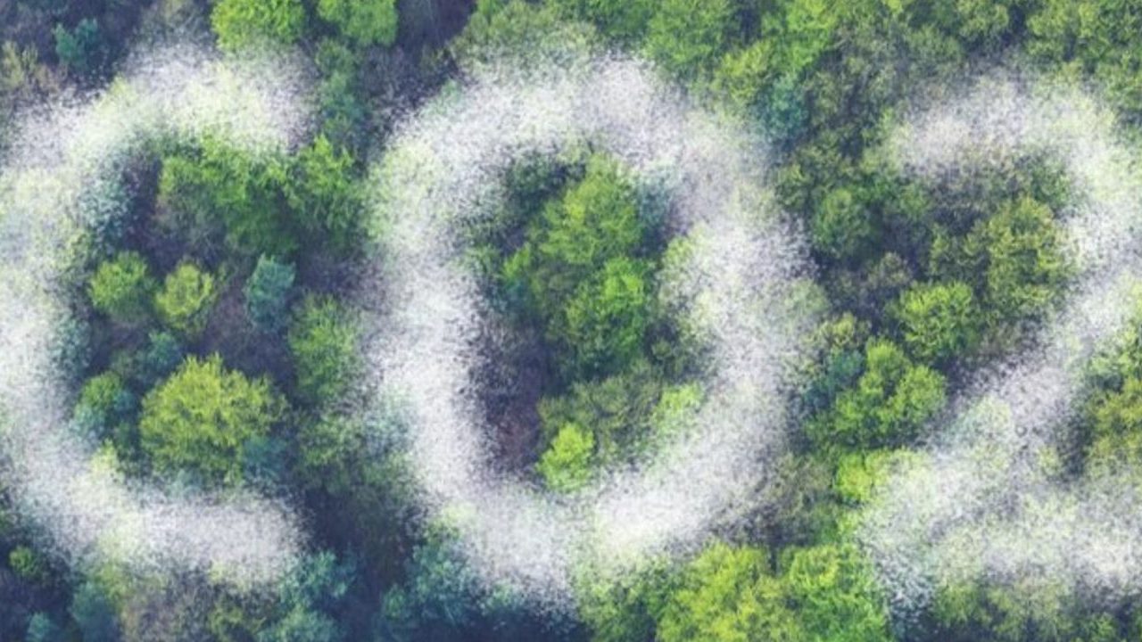 2024_co2