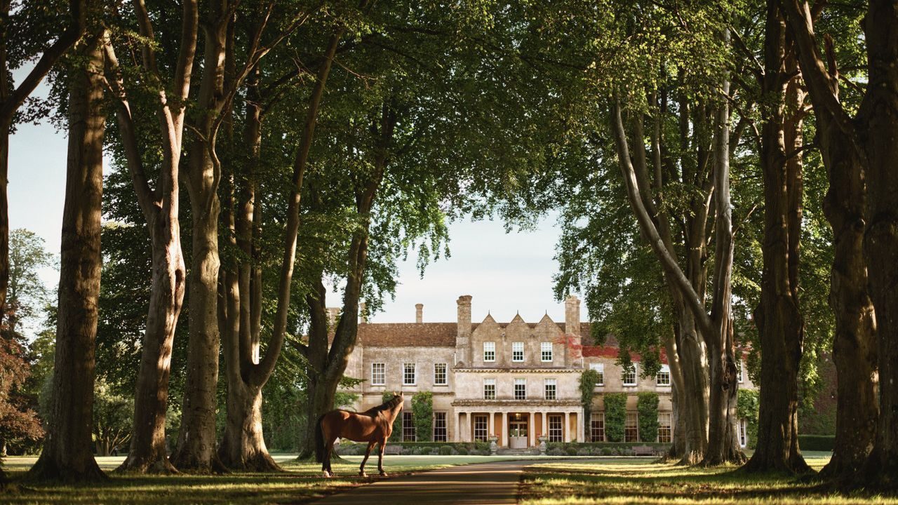 2025_Emblems_Regno_Unito