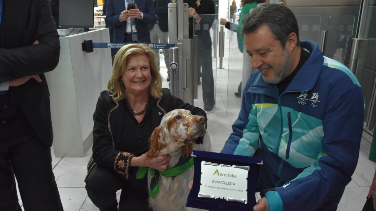 Aeroitalia cani taglia grande in cabina