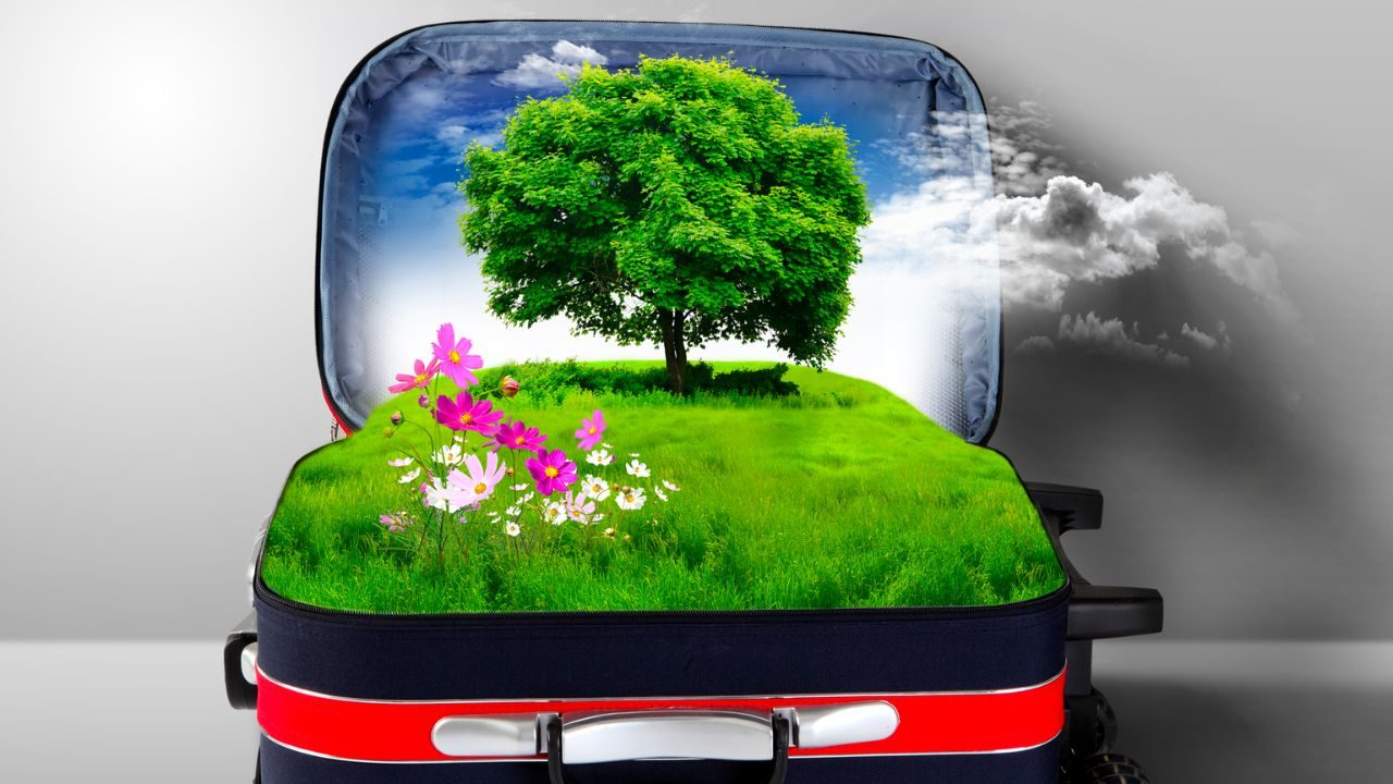 BUSINESS MOBILITY (3)