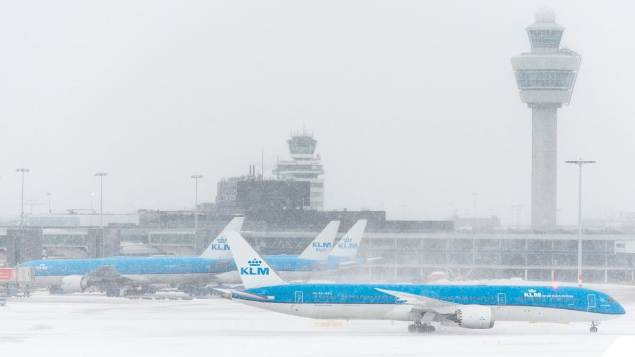 Schipol morsa di ghiaccio