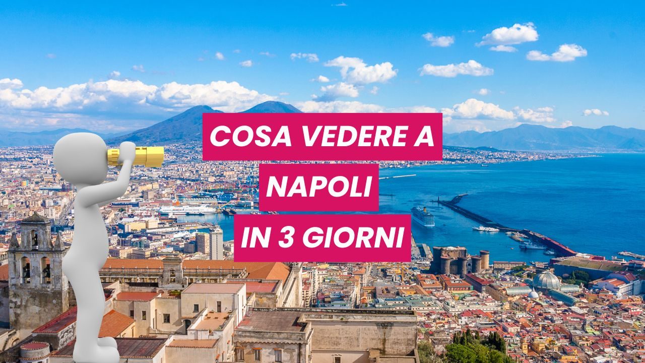 Servizio di (24)
