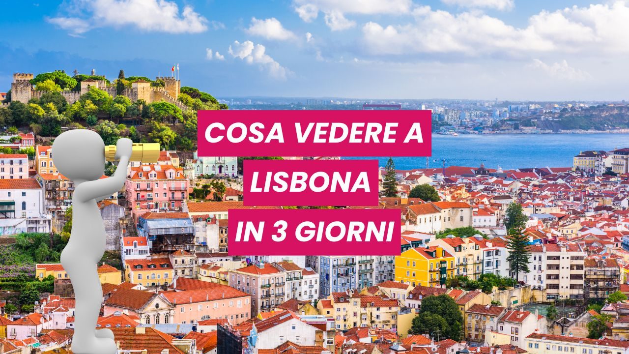 Servizio di (29)