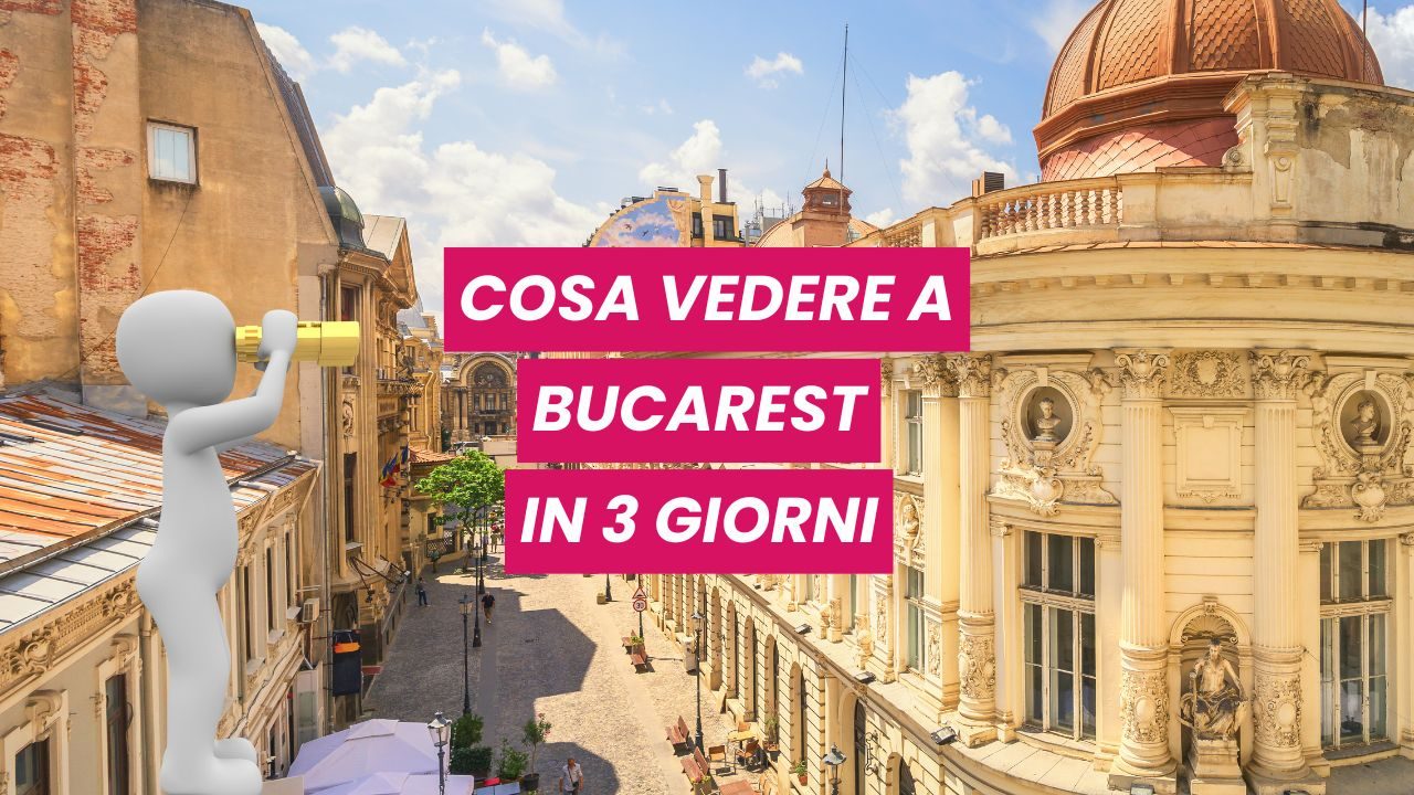 Servizio di (29)