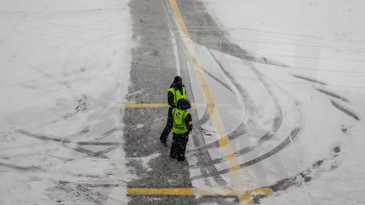 Stop Flight New York 25 february 2026